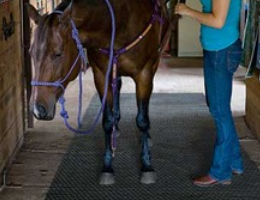 paard op mat in stal